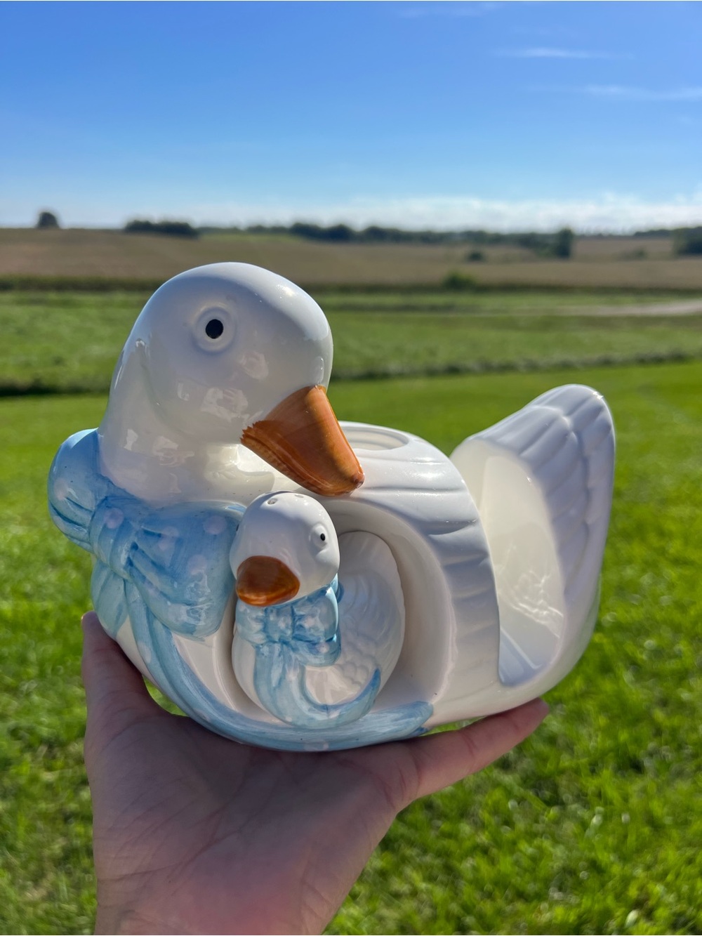 Ceramic White Duck/Goose Salt & Pepper Shaker set with napkin & toothpick holder